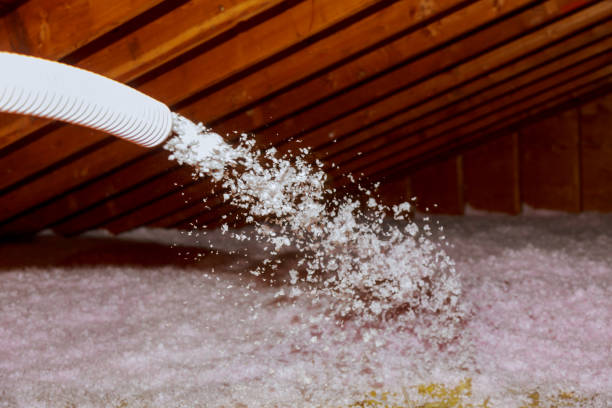Best Commercial Insulation in North New Hyde Park, NY